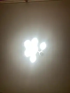 Janet Welder online show from 12-02-24, 06:09