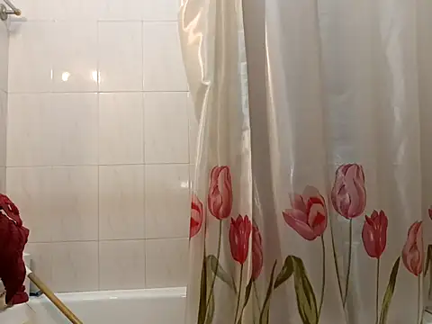 Snapshot of domexib chatting on 02-24-25, 12:48 domexib online show from 02-24-25, 12:48