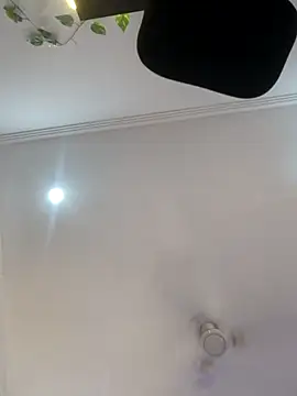 Archi-07 online show from 10-24-25, 08:11