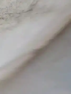 Snapshot of MrNick74 chatting on 12-22-25, 12:24 MrNick74 online show from 12-22-25, 12:24