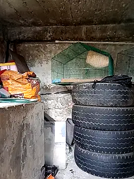 Snapshot of Elvishcassie_ chatting on 10-01-25, 06:58 Elvishcassie online show from 10-01-25, 06:58