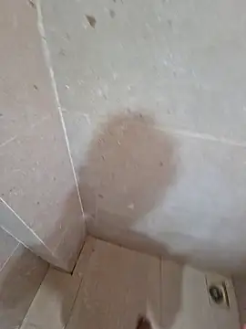 vivanpraj999 online show from 11-25-25, 04:23