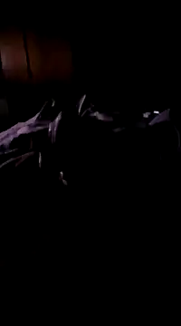 Imthegoattt online show from 12-12-24, 11:47