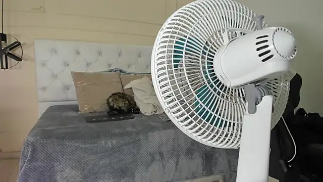 Snapshot of Slut_Milf_ chatting on 01-23-25, 10:44 Slut Milf  online show from 01-23-25, 10:44