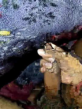 Kolkataboiy online show from 09-24-25, 02:59