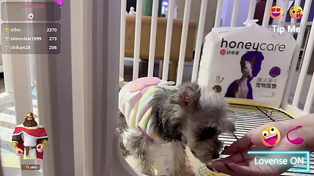 Snapshot of Bunny_Tutu chatting on 01-18-25, 11:54 Bunny Tutu online show from 01-18-25, 11:54