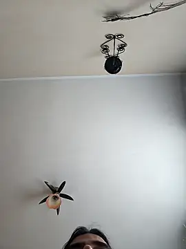 vulpe8400 online show from 04-19-26, 11:09