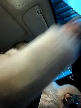 SukyGirl online show from 01-04-25, 05:37