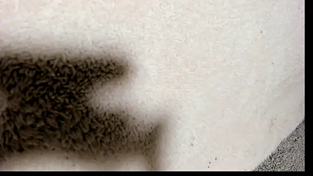 Snapshot of Brock_hurn1 chatting on 09-15-25, 02:00 Brock hurn1 online show from 09-15-25, 02:00