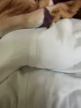 hamed-697 online show from 12-04-24, 09:57