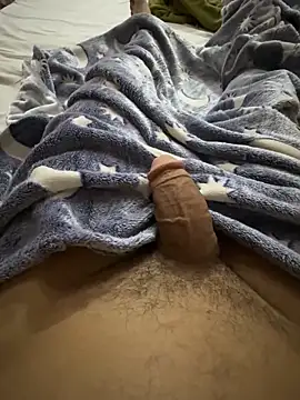 hamed-697 online show from 02-01-26, 08:46