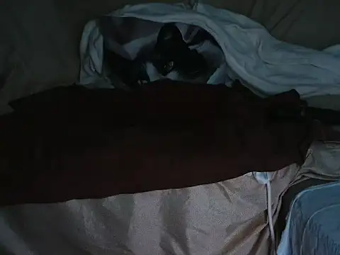 VeneRed online show from 10-01-25, 06:47