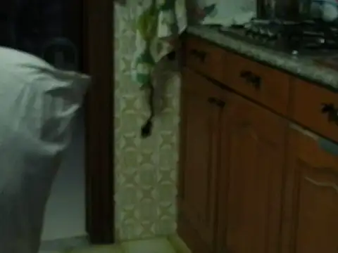 VeneRed online show from 10-27-25, 03:49