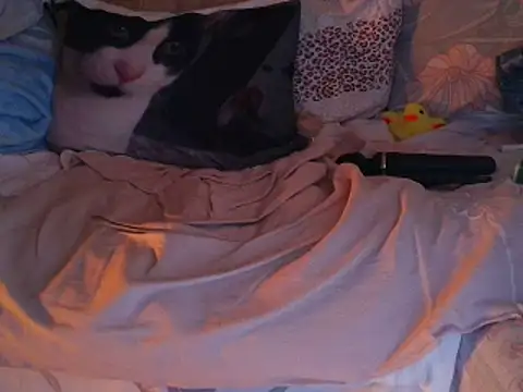 VeneRed online show from 11-30-25, 07:51