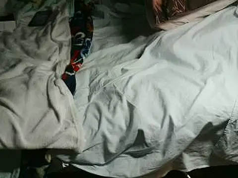 VeneRed online show from 04-15-26, 06:26