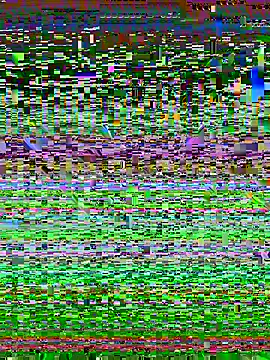 Snapshot of desiduzz21 chatting on 02-22-25, 11:24 desiduzz21 online show from 02-22-25, 11:24