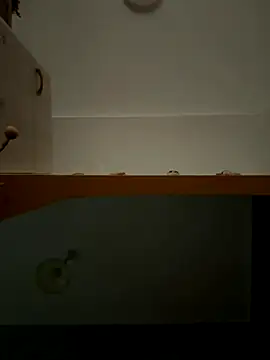 Snapshot of Lecatore80 chatting on 11-09-25, 07:50 Lecatore80 online show from 11-09-25, 07:50