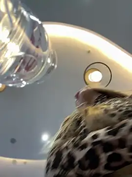 Snapshot of mur_girl chatting on 12-30-24, 12:42 mur girl online show from 12-30-24, 12:42