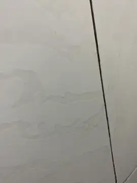 Snapshot of picatorta19 chatting on 12-17-25, 06:25 picatorta19 online show from 12-17-25, 06:25