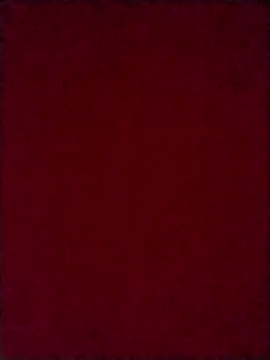 Snapshot of Luci_foxx chatting on 10-08-25, 03:59 Luci foxx online show from 10-08-25, 03:59