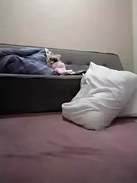 Luci foxx online show from 03-19-26, 01:42