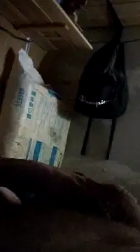 cockringkelley97 online show from 12-01-24, 04:29