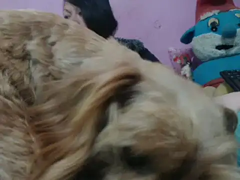 Snapshot of Cheliafun chatting on 10-25-25, 02:13 Cheliafun online show from 10-25-25, 02:13