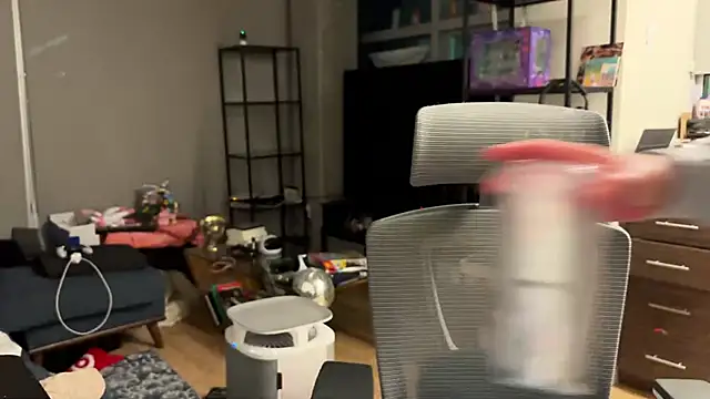 bearcloudcomputa online show from 12-28-24, 04:41