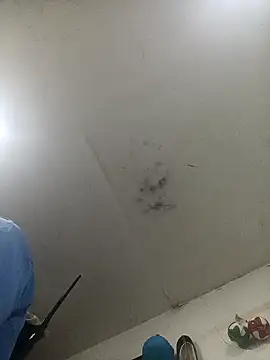 Snapshot of jeremiabello chatting on 02-14-25, 01:02 jeremiabello online show from 02-14-25, 01:02