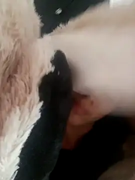 giuliana andrade online show from 02-19-25, 09:28