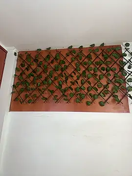 Emily Trujillo online show from 11-08-25, 05:34