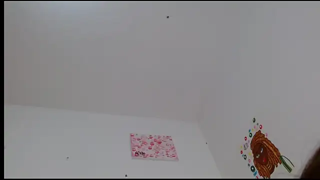 kity   online show from 02-24-25, 04:58