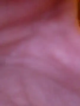 Snapshot of Freddyking146f chatting on 11-30-25, 01:42 Freddyking146f online show from 11-30-25, 01:42