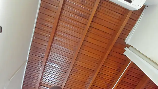 Snapshot of Aleja_arango1 chatting on 03-21-25, 03:13 Aleja arango1 online show from 03-21-25, 03:13