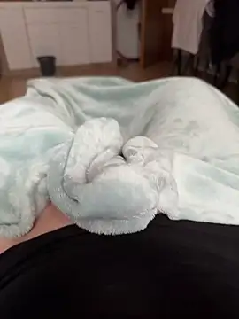 Snapshot of kareem0010 chatting on 09-15-25, 12:38 kareem0010 online show from 09-15-25, 12:38