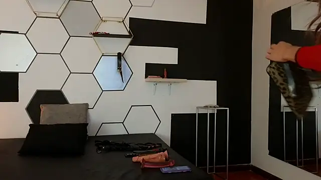 haileycat online show from 02-08-25, 11:34