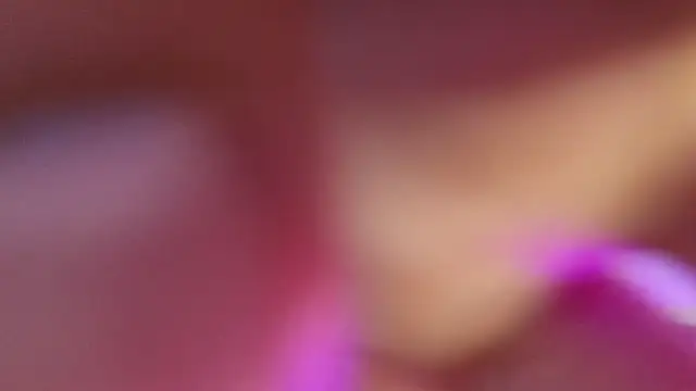 haileycat online show from 09-17-25, 11:50