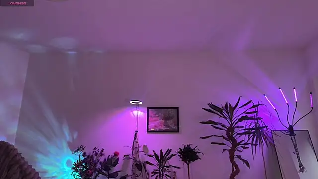 PaulaPratt online show from 03-31-26, 05:19