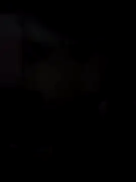 Snapshot of Honyogi chatting on 12-27-24, 11:53 Honyogi online show from 12-27-24, 11:53