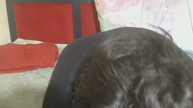 MaximTease24 online show from 06-12-26, 10:41