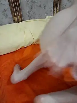 abyusif101099 online show from 02-25-25, 04:57