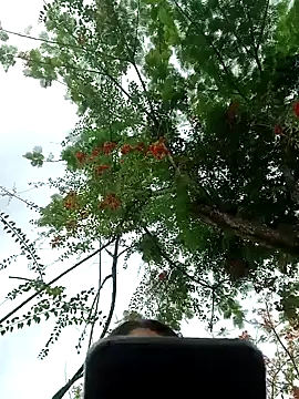 Karol-kamila19 online show from 12-03-24, 09:01