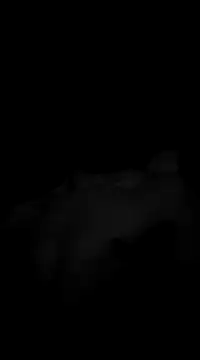 Deniell-01 online show from 03-19-25, 10:20