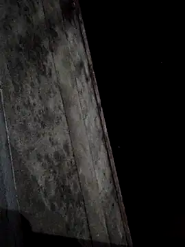 sana14 online show from 03-01-25, 03:05