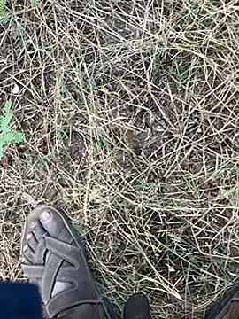 tamil000000 online show from 03-11-25, 01:37