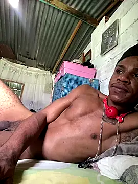 ElNegroRony online show from 12-02-24, 05:04