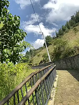 ElNegroRony online show from 12-09-24, 02:49