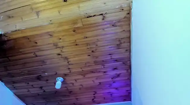 Namiko Park online show from 01-30-25, 04:02