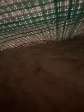 studdboyy online show from 12-17-25, 03:34