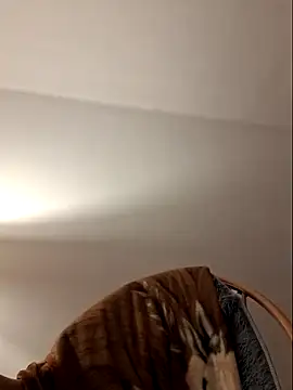 Vasember11xh online show from 04-20-26, 07:26